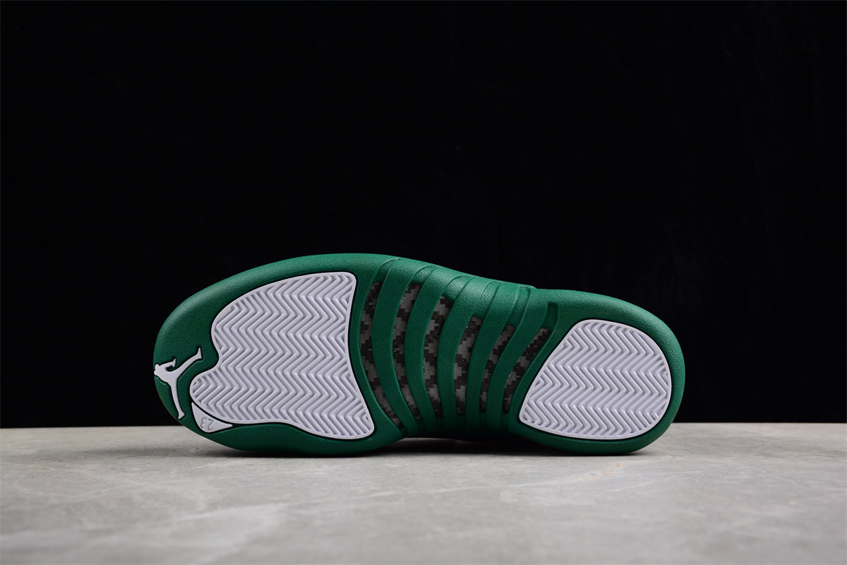 Ray Allen Air Jordan 12 PE