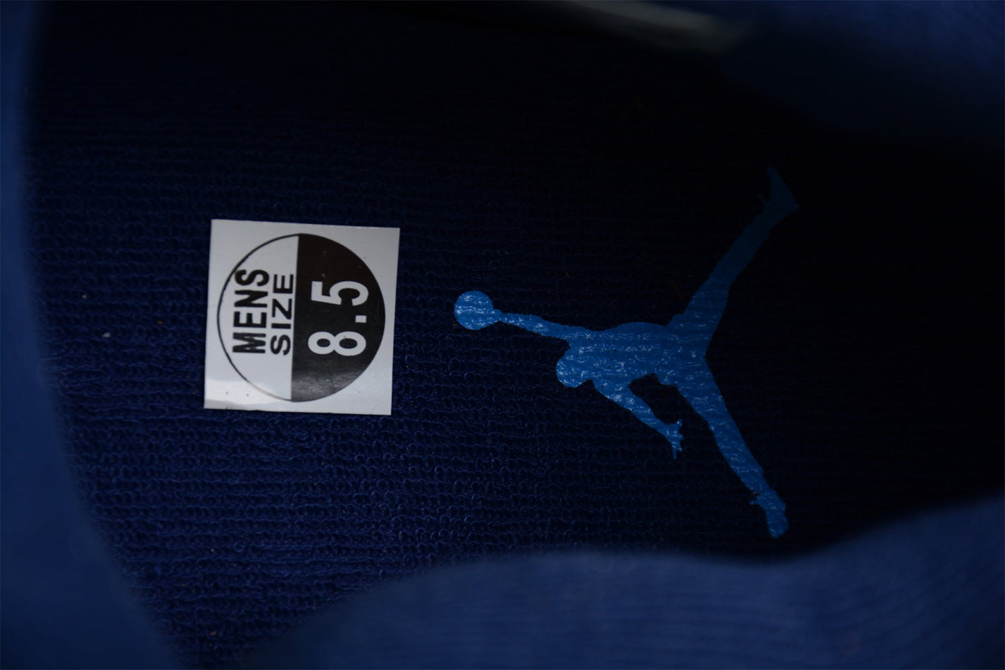 Air Jordan 4 "Columbia"