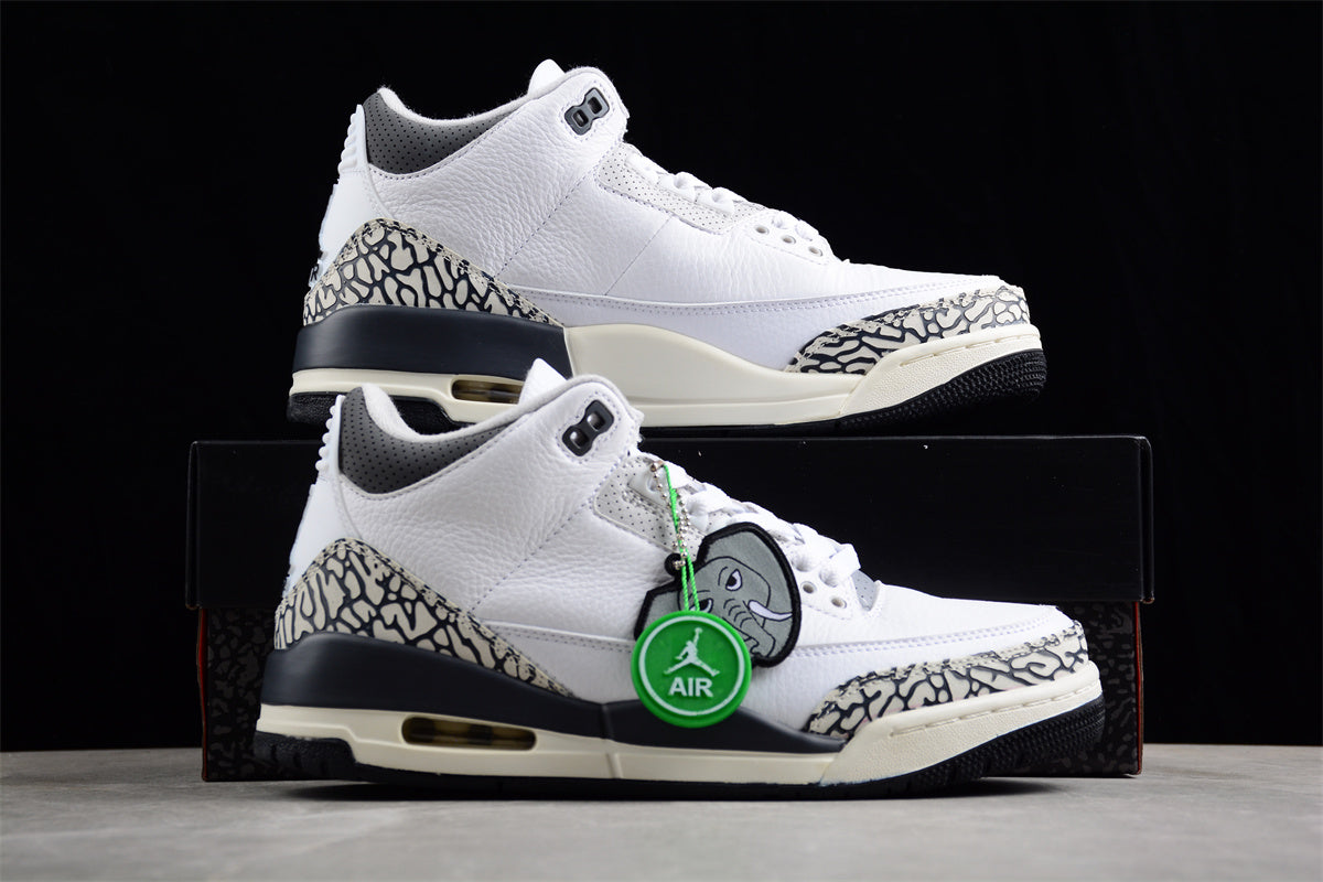 Air Jordan 3 Retro "Hide N' Sneak"