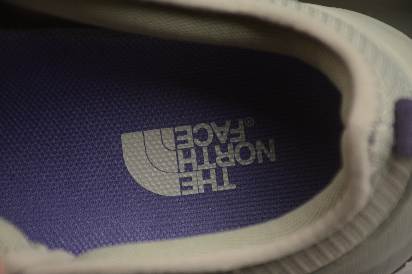 The North Face NEVER STOP Anti‑Slip Wear‑Resistant Low‑Top Casual Shoes – Gray/Purple