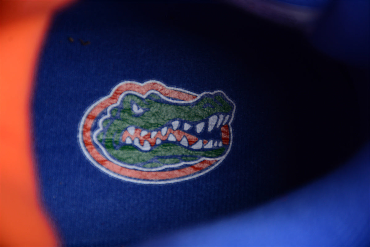 Air Jordan 4 "Florida Gators"
