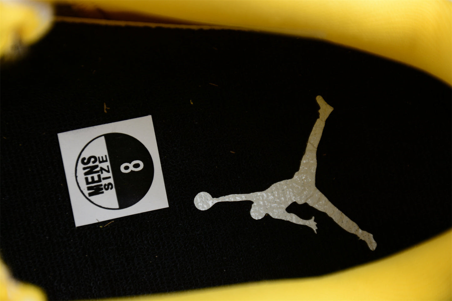 Air Jordan AJ11 Low SE "Yellow Snakeskin"