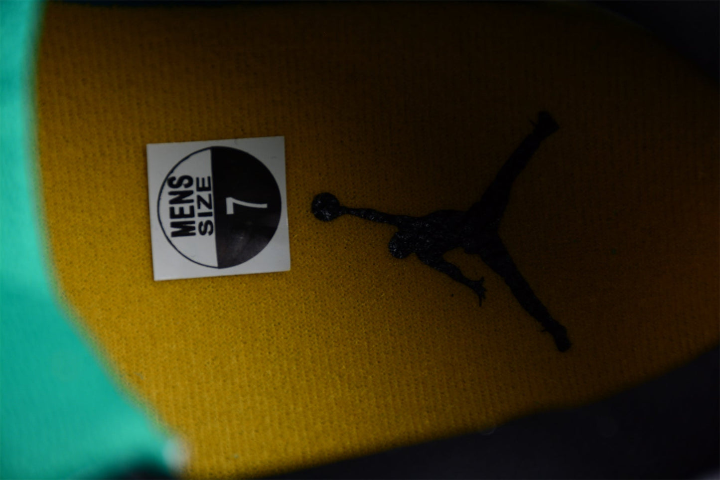 Air Jordan 4 Retro "Do the Right Thing"