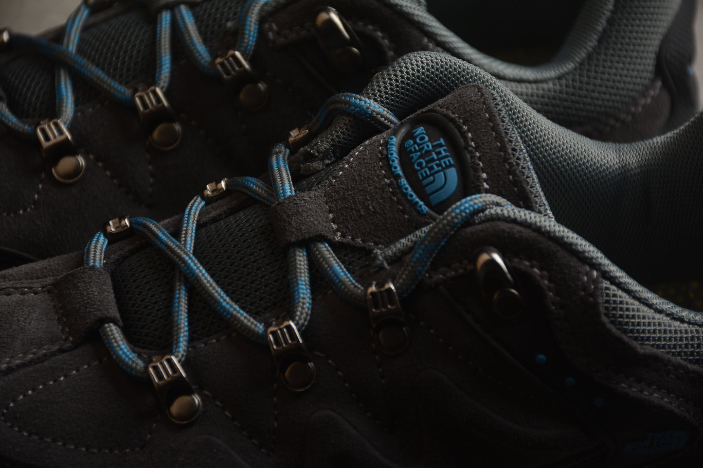 The North Face Hedgehog Fastpack GTX hiking shoes
