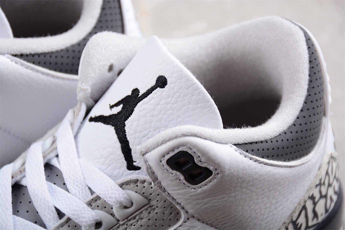 Air Jordan 3 Retro "Hide N' Sneak"