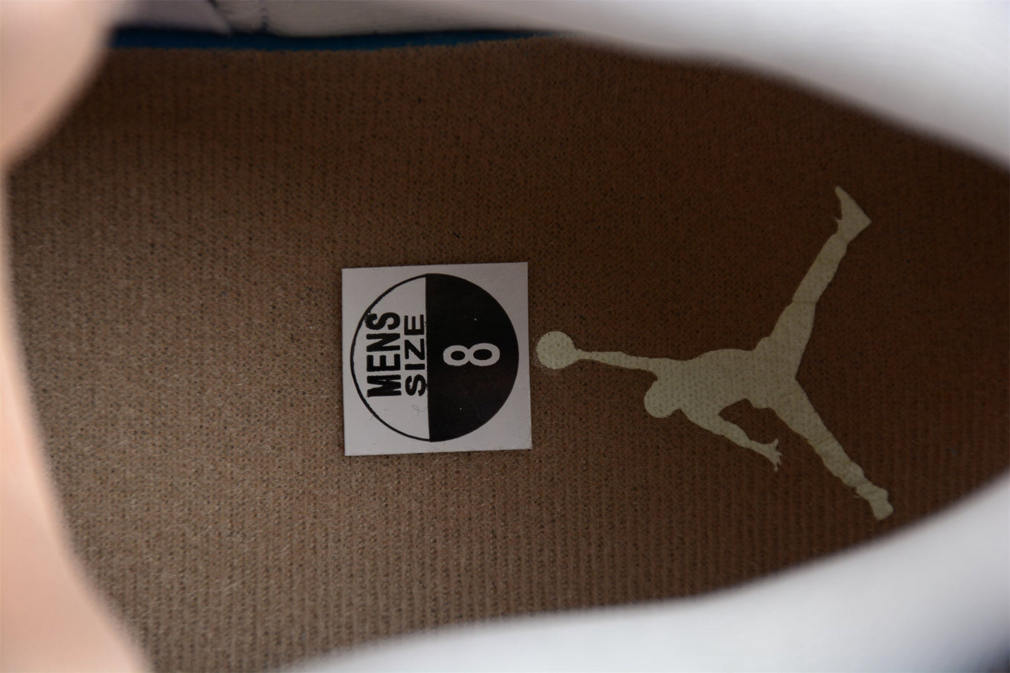 Air Jordan 4 Retro "Shimmer"