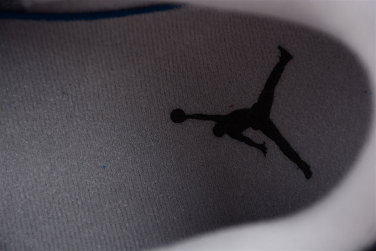 Air Jordan 3 Retro "Hide N' Sneak"