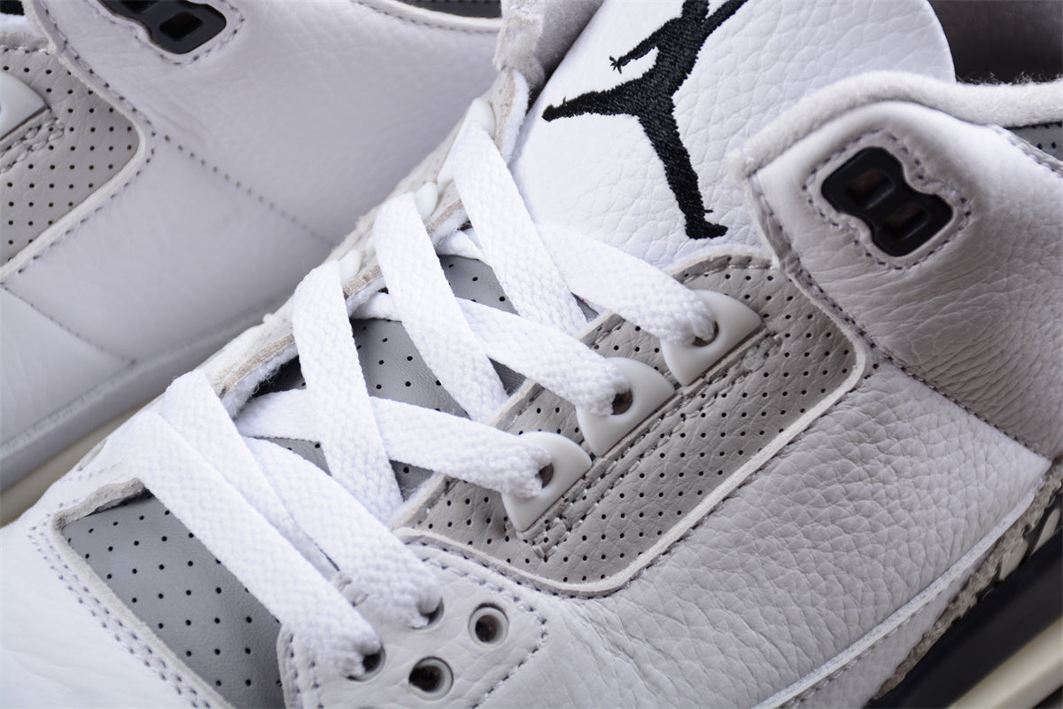 Air Jordan 3 Retro "Hide N' Sneak"