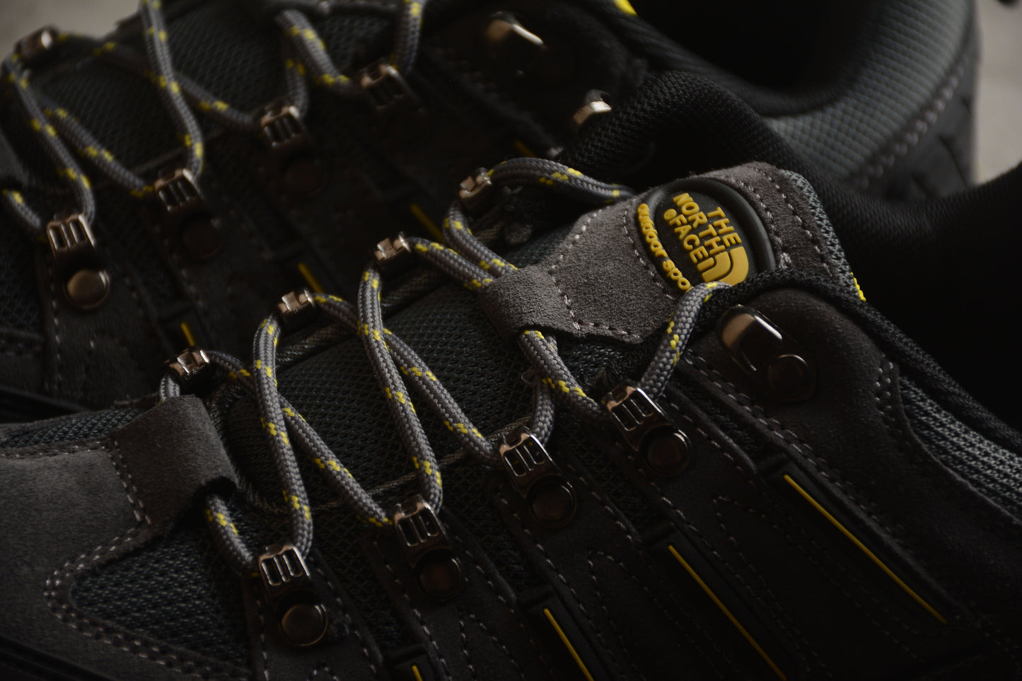 North Face Hedgehog Fastpack GTX Low