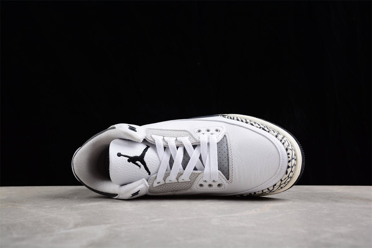 Air Jordan 3 Retro "Hide N' Sneak"